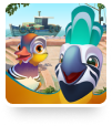 BirdsIsle